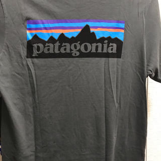 パタゴニア(patagonia)のtシャツ(Tシャツ(半袖/袖なし))