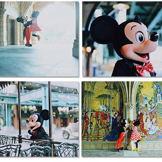 ディズニー(Disney)のDisney ディズニー 公式写真集 imagining the magic(アート/エンタメ)
