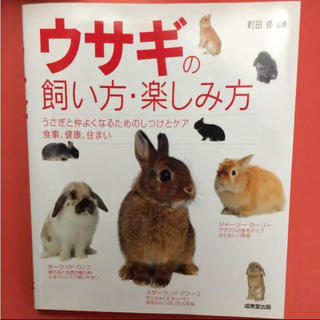 ウサギの飼い方・楽しみ方(趣味/スポーツ/実用)