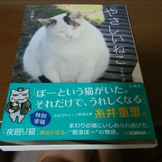 やさしいねこ(その他)