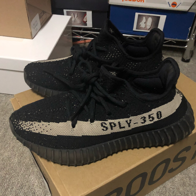 adidas(アディダス)の【限定値下げ】YEEZY BOOST 350 V2  23.0 レディースの靴/シューズ(スニーカー)の商品写真