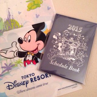 ディズニー(Disney)のラスト1個！TDR 2015 手帳(その他)