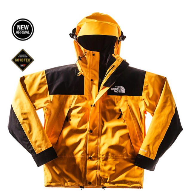 THE NORTH FACE(ザノースフェイス)のゴン様 メンズのジャケット/アウター(マウンテンパーカー)の商品写真