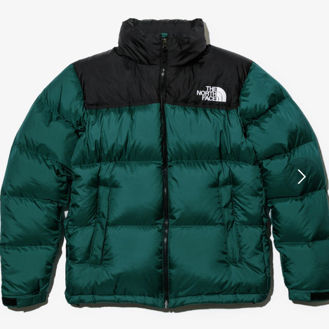 25日まで 18新作 ザノースフェイス ヌプシジャケット ダウン L TNF 緑