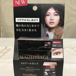 マキアージュ(MAQuillAGE)のマキアージュドラマチックスタイリングアイズ限定色(アイシャドウ)