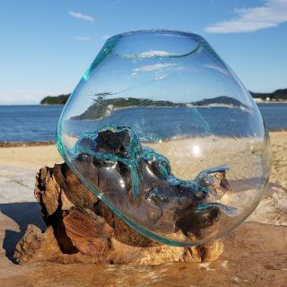 流木ガラス中2 オブジェ 花瓶 多肉植物 金魚鉢 バリ島アート作品 テラリウム(ガラス)