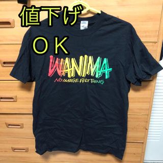 ワニマ(WANIMA)の【ライブ限定】WANIMAエビバディツアーライブTシャツ(ミュージシャン)