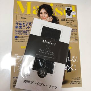 マッキントッシュフィロソフィー(MACKINTOSH PHILOSOPHY)のmarisol マリソル  11月号付録 美脚グレータイツ(タイツ/ストッキング)