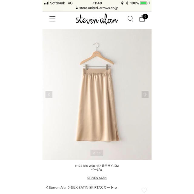 steven alan(スティーブンアラン)のSteven Alan シルクスカート レディースのスカート(ひざ丈スカート)の商品写真