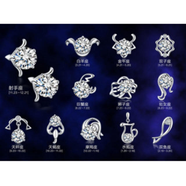 星座ピアス12個セット 全12星座 キュービックジルコニア アレルギー対応