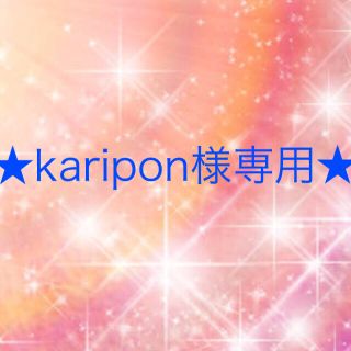 ワコール(Wacoal)のkaripon様専用(その他)