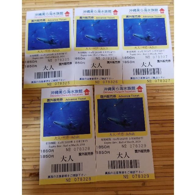 沖縄　美ら海水族館　チケット5枚水族館