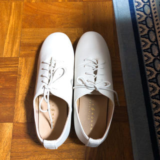 シャンブルドゥシャーム(chambre de charme)のシャンブルドゥシャーム  革靴(ローファー/革靴)