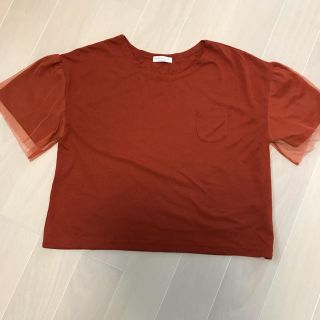 アースミュージックアンドエコロジー(earth music & ecology)のearth music＆ecology チュール袖Tシャツ (Tシャツ(半袖/袖なし))