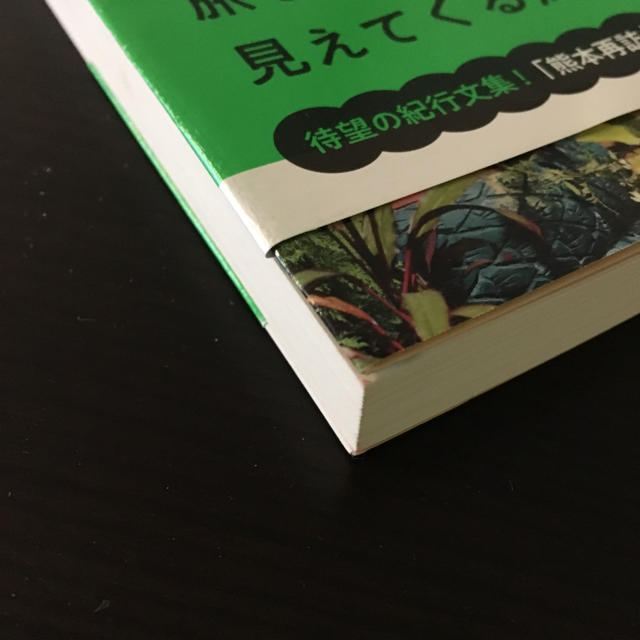 ラオスにいったい何があるというんですか？ エンタメ/ホビーの本(文学/小説)の商品写真