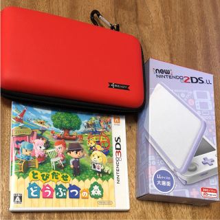 new Nintendo 2DS LL 本体＋ケース＋ソフト