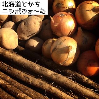 北海道とかちニシボふぁ〜む 詰め合わせセット『大地の恵み』 3・3・1kg(野菜)