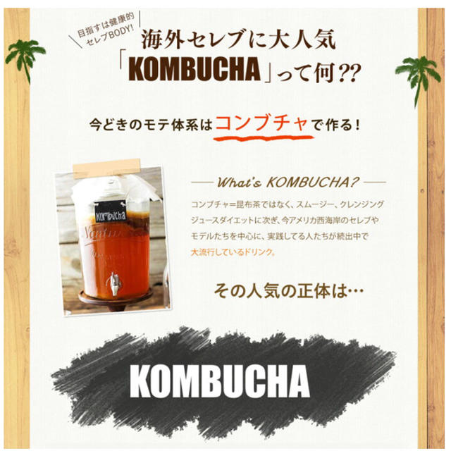 KOMBUCHA  CLEANSE / 未開封  /  コンブチャクレンズ 1