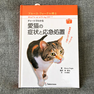 【新品・未使用】愛猫の症状と応急処置(猫)