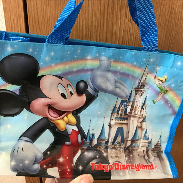 Disney - ディズニーシー ディズニーランド バックの通販 by