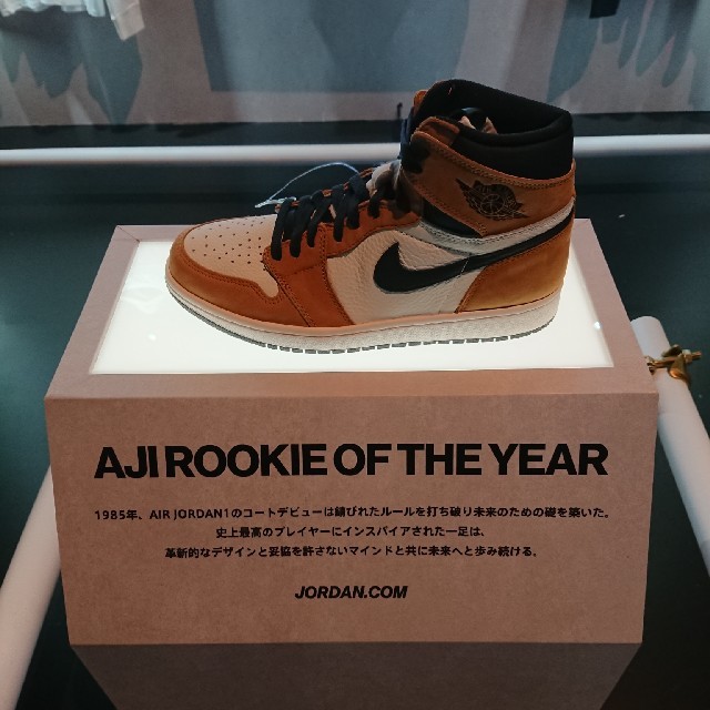 25.5cm NIKE Air Jordan 1 atmoscon アトモスコン