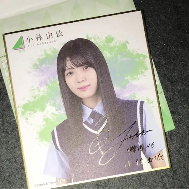 欅坂46(けやき坂46) - 欅坂46 小林由依 ランダム封入 ミニ色紙