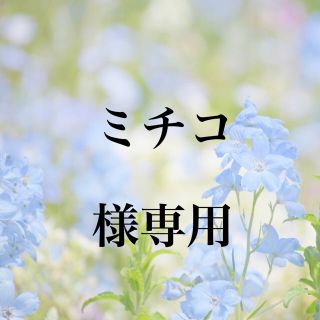 ミチコ様専用 お米　H29　愛媛県産キヌヒカリ　玄米　30㎏(米/穀物)