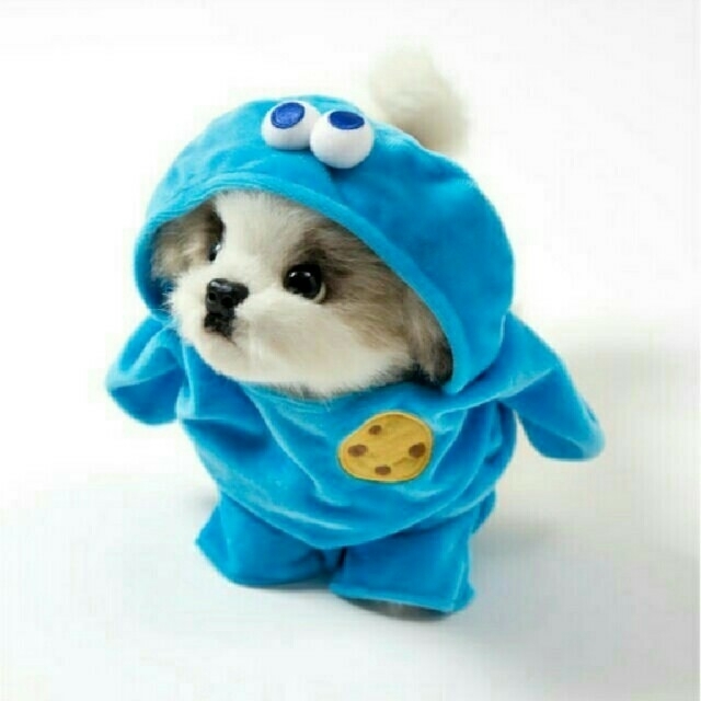 3coins 専用 犬猫ペット用 仮装衣装 クッキーモンスター の通販 By Kate S Shop スリーコインズならラクマ 3coins 専用 犬猫ペット用 仮装衣装 クッキーモンスター の通販 By Kate S Shop スリーコインズならラクマ