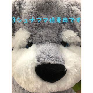 コストコ(コストコ)の♡3シュナママ様専用(その他)