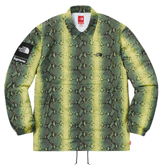 【Mサイズ】supreme The North Face Snakeskin