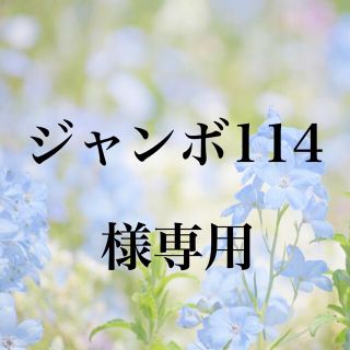 ジャンボ114様専用 お米　H29　愛媛県産キヌヒカリ　白米　30㎏×2袋(米/穀物)