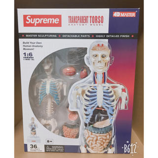 supreme 人体模型