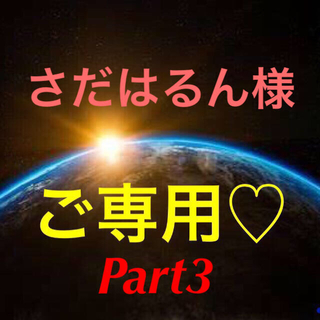 ★ご専用♡★おまとめセットPart3(=^ェ^=)【天然石アラカルト】❤️(その他)