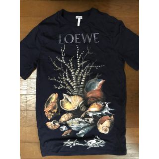 ロエベ(LOEWE)のloewe 貝殻シャツ(Tシャツ/カットソー(半袖/袖なし))