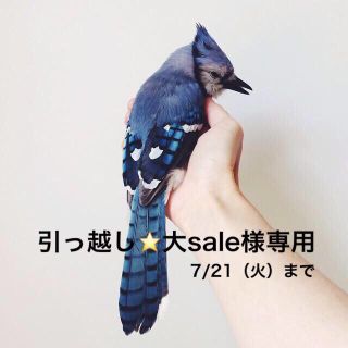 アイアイエムケー(iiMK)の引っ越し⭐️大sale様 お取り置き(ベスト/ジレ)