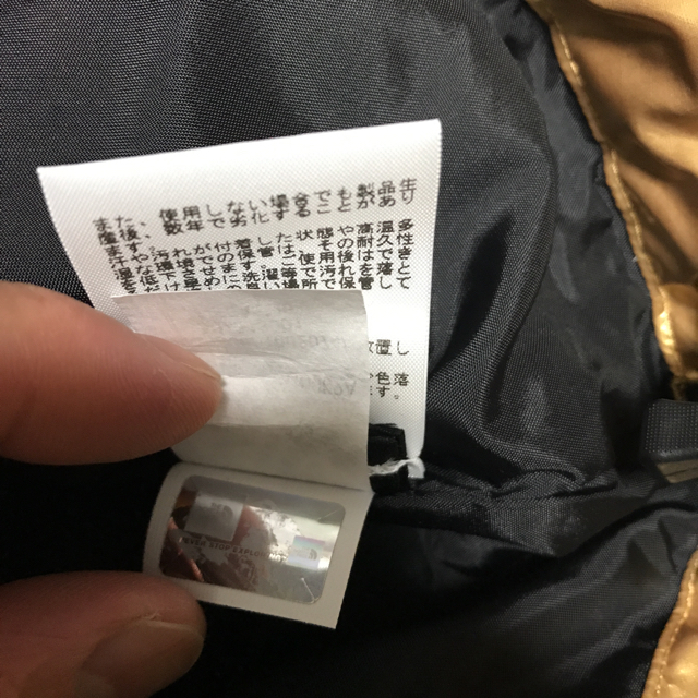 Supreme(シュプリーム)の新品 supreme TNF metallic mountain jacket  メンズのジャケット/アウター(マウンテンパーカー)の商品写真