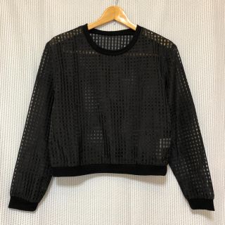 エモダ(EMODA)の【美品】EMODA〈エモダ〉長袖 格子柄 シースルー ブラウス＊S＊ブラック＊ (シャツ/ブラウス(長袖/七分))