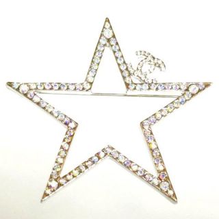 CHANEL - CHANEL シャネル スターシルバーブローチの通販|ラクマ