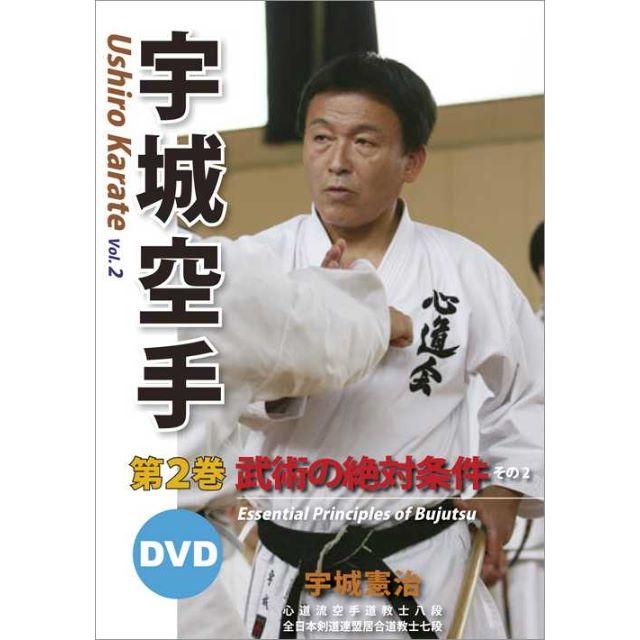 宇城憲治　宇城空手 第２巻　武術の絶対条件― その２　DVD　送料込 エンタメ/ホビーのDVD/ブルーレイ(スポーツ/フィットネス)の商品写真