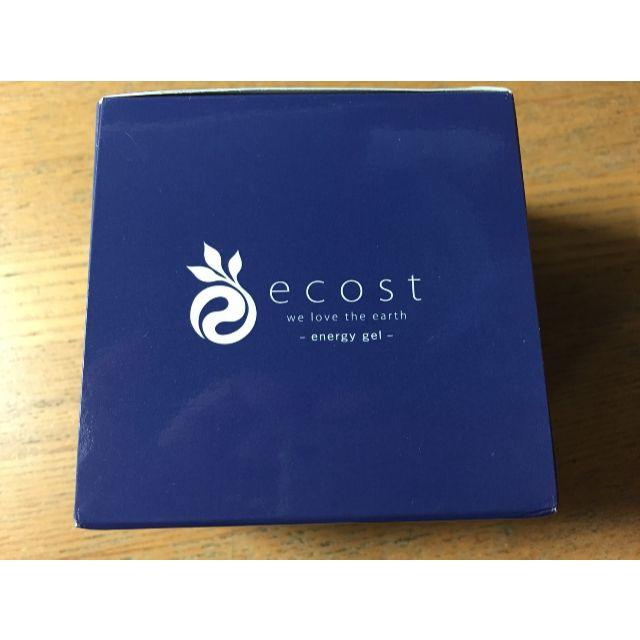 問屋直販 ecost エナジージェル 2個 - spagnuoloecologia.it