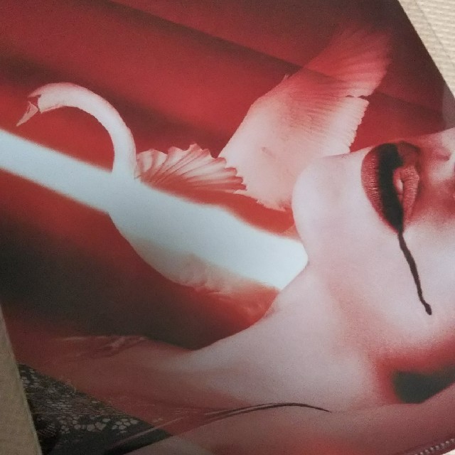 RED SWAN クリアファイル エンタメ/ホビーのタレントグッズ(アイドルグッズ)の商品写真