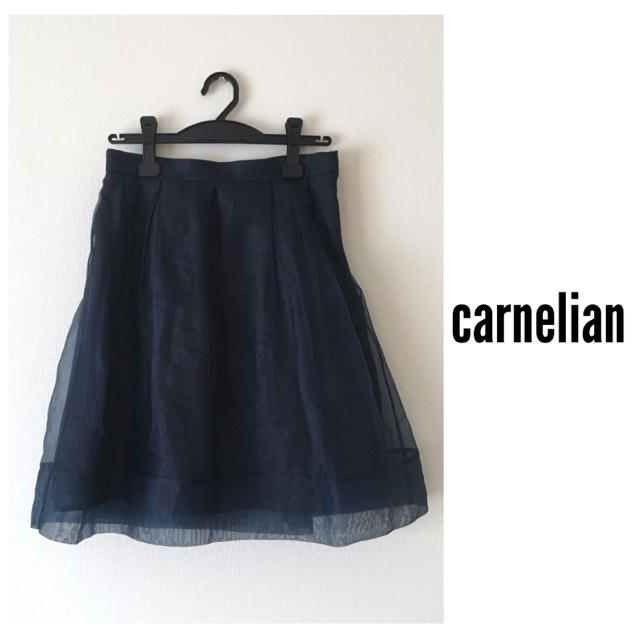 carnelian(カーネリアン)のカーネリアン＊フレアスカート オーガンジー レディースのスカート(ひざ丈スカート)の商品写真