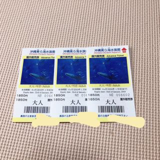 専用です。美ら海水族館チケット(水族館)