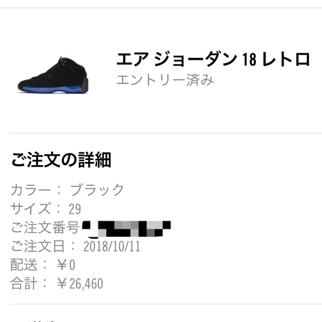 送料無料 国内正規品 29cm NIKE AIR JORDAN 18 OG