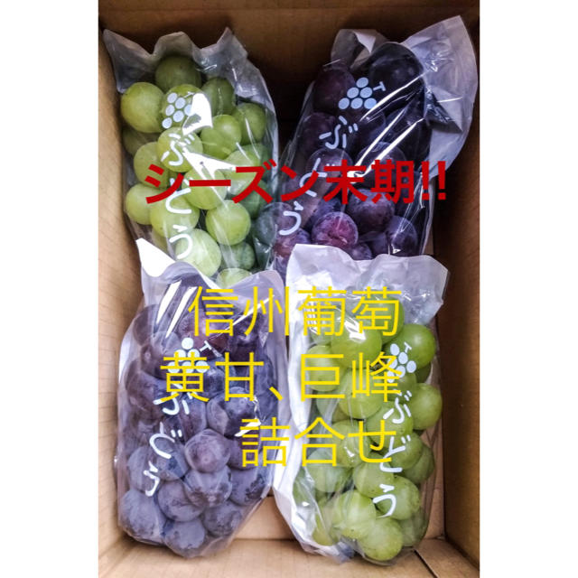 【信州葡萄】 黄甘、巨峰詰合せ 種無し 4kg(9房) ぶどう ブドウ