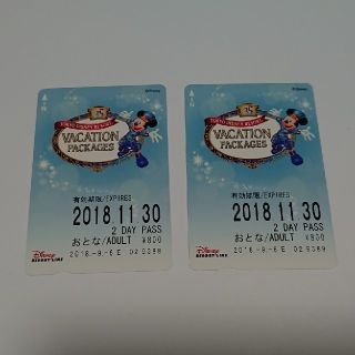 ディズニーリゾートライン 2DAY PASS(遊園地/テーマパーク)