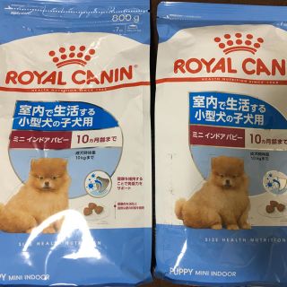 ロイヤルカナン(ROYAL CANIN)のロイヤルカナン 子犬用 800g 2袋(犬)