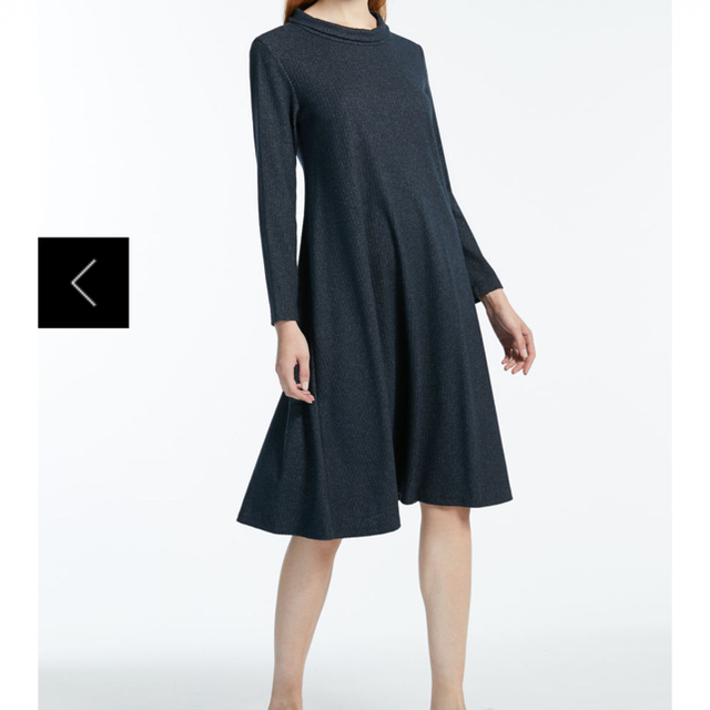 Max Mara(マックスマーラ)のcoola219様★専用  WEEKENDMaxMara 2枚セット レディースのワンピース(ひざ丈ワンピース)の商品写真