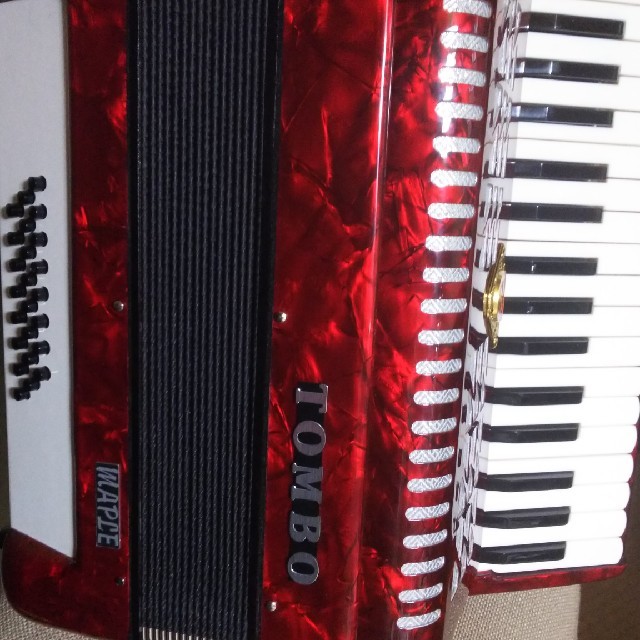 アコーディオン 楽器の鍵盤楽器(アコーディオン)の商品写真