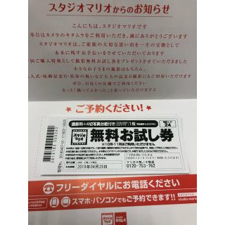 キタムラ(Kitamura)のスタジオマリオ 撮影無料お試し券(その他)